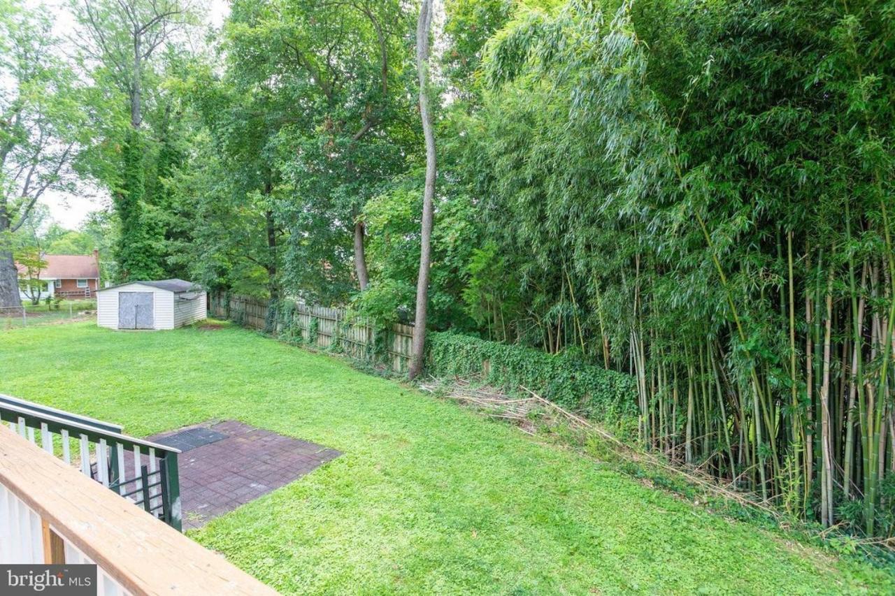 Brand New, Cozy, Modern, One-Bedroom Apartment Falls Church Eksteriør bilde